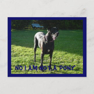 No es una postal pony