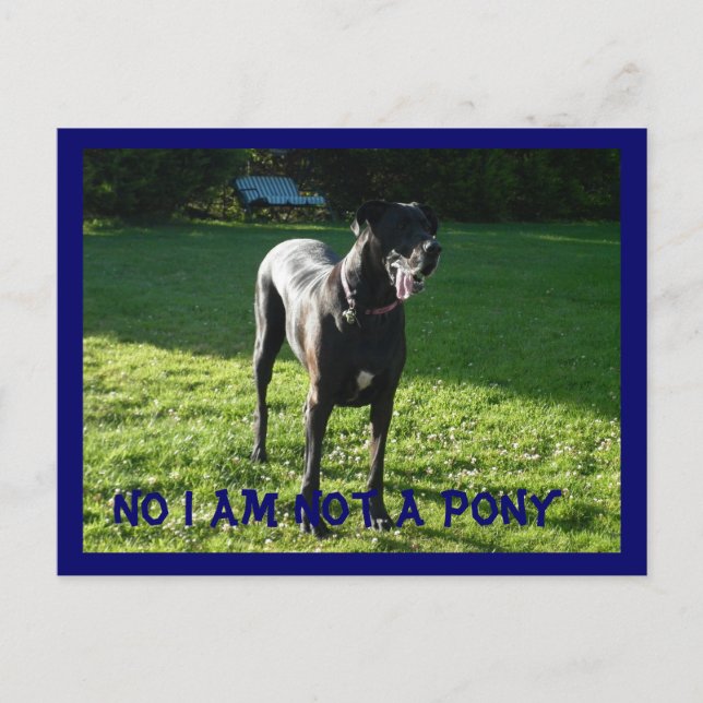 No es una postal pony (Anverso)