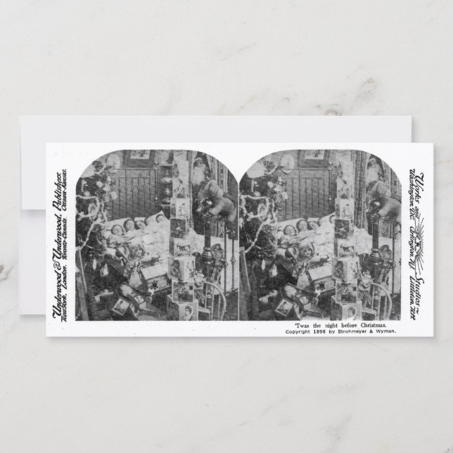 No fue una criatura emocionante - Vieja Stereoview (Anverso)