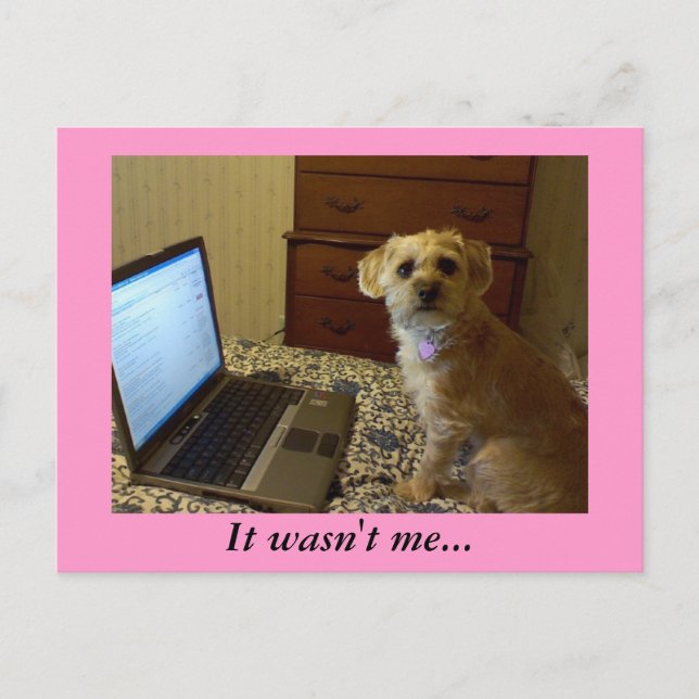 No fui yo... Postal (Anverso)