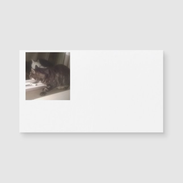 No hablar con usted Tarjetas de visita magnéticas  (Anverso)