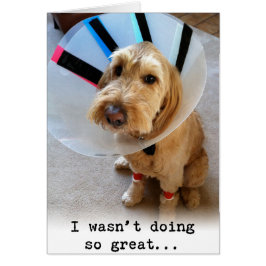 No hacía tan grande…