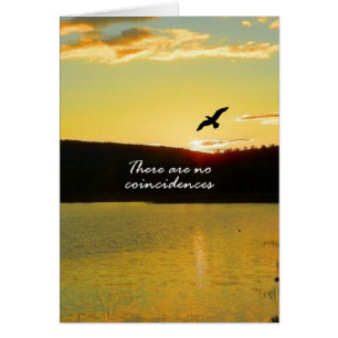 No hay coincidencias