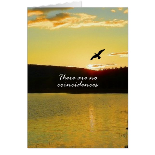 No Hay Coincidencias (Frente)