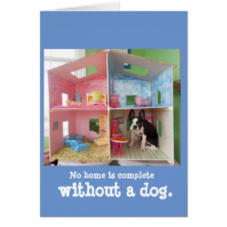 No hay hogar completo sin un perro