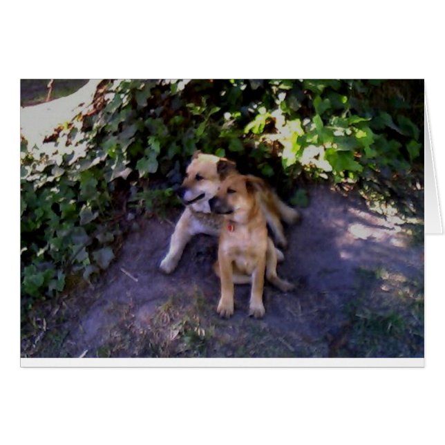 No hay lugar donde prefiera estar (Anverso (Horizontal))