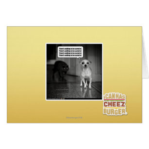 No hay nada ser asustado de