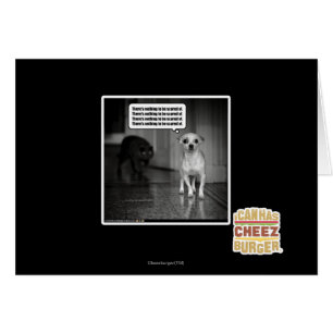 No hay nada ser asustado de