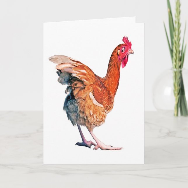 No hay tarjeta de cumpleaños de pollo de primavera (Anverso)