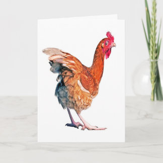 No hay tarjeta de cumpleaños de pollo de primavera