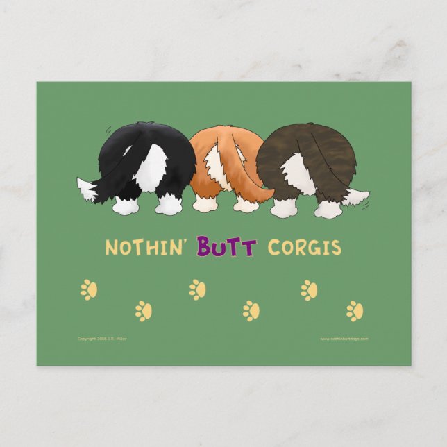 No hay tarjetas postales de Butt Corgis (Anverso)