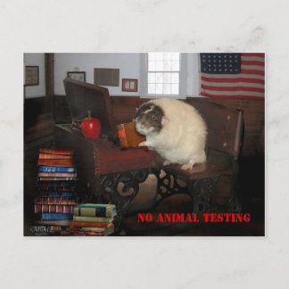 No hay una postal de prueba animal
