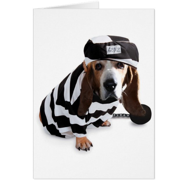 No lo signifiqué… (Frente)