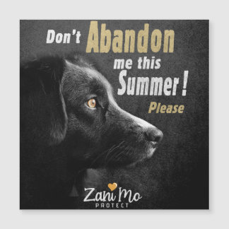No me abandones este verano - Protección de perros
