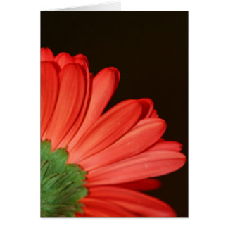 No me des la espalda