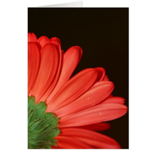 No me des la espalda (Frente)