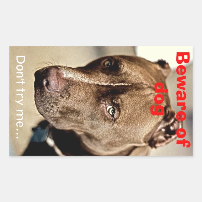 No me intentes.cuidado con el perro - pegatina (Anverso)