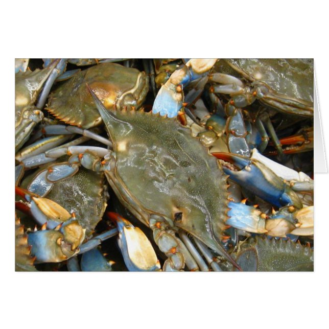 ¡No me moleste… que soy malhumorado! (Anverso (Horizontal))