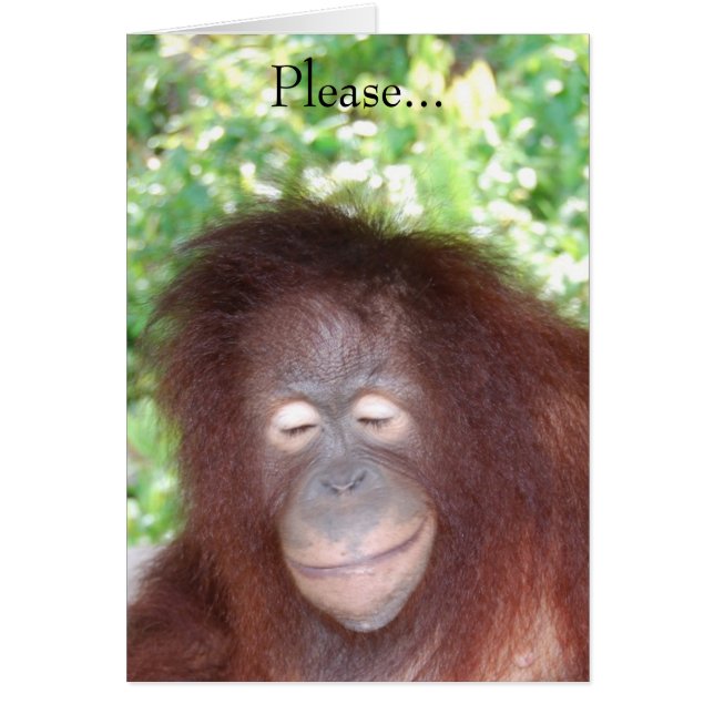 No me odies porque soy hermosa (Frente)