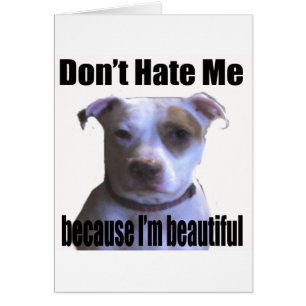 No me odies porque soy un bello pit bull
