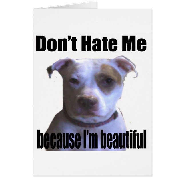 No me odies porque soy un bello pit bull (Frente)