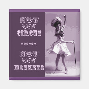 No mi imán del circo