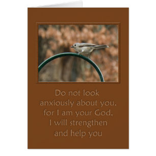 no mires con ansiedad tu pájaro en arco