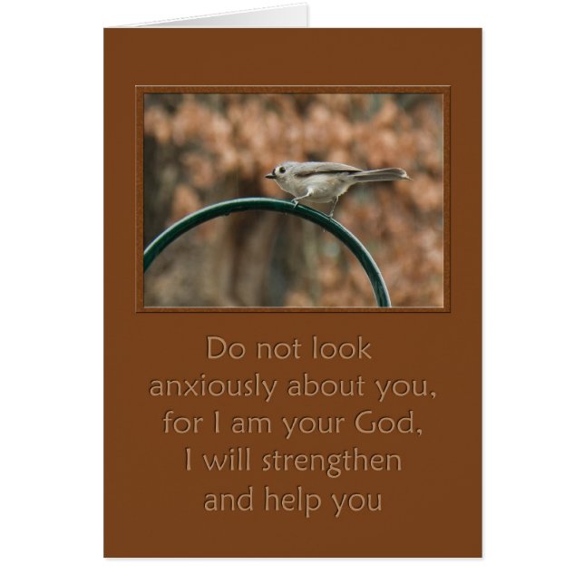 no mires con ansiedad tu pájaro en arco (Frente)