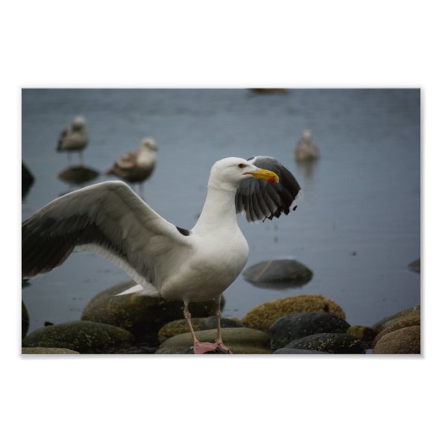 No molestar la foto (Frente)