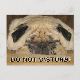 No molestar la postal de Pug