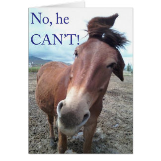 ¡No, no puede! Burro