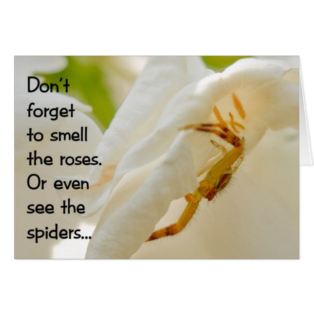 No olvides oler a los rosas (Anverso (Horizontal))