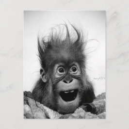 ¡NO PÁNICO! Postal