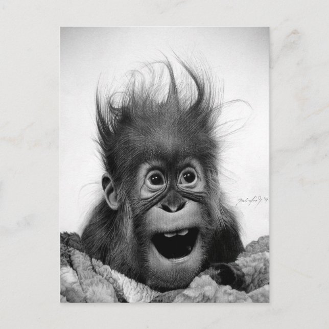 ¡NO PÁNICO! Postal (Anverso)