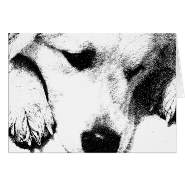 No pensé en Card (Anverso (Horizontal))