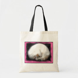 No perturbe la bolsa de asas del gato