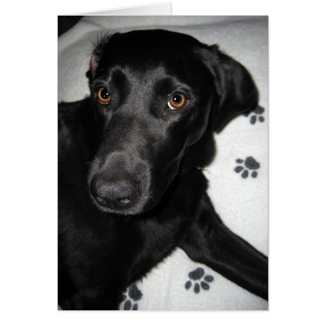 No puede ayudarse (Frente)