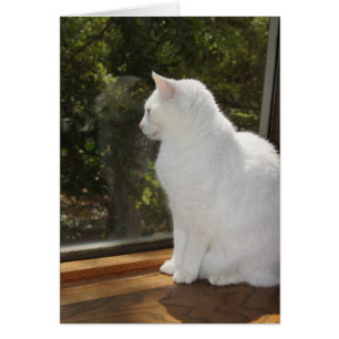 No puede esperar para verle