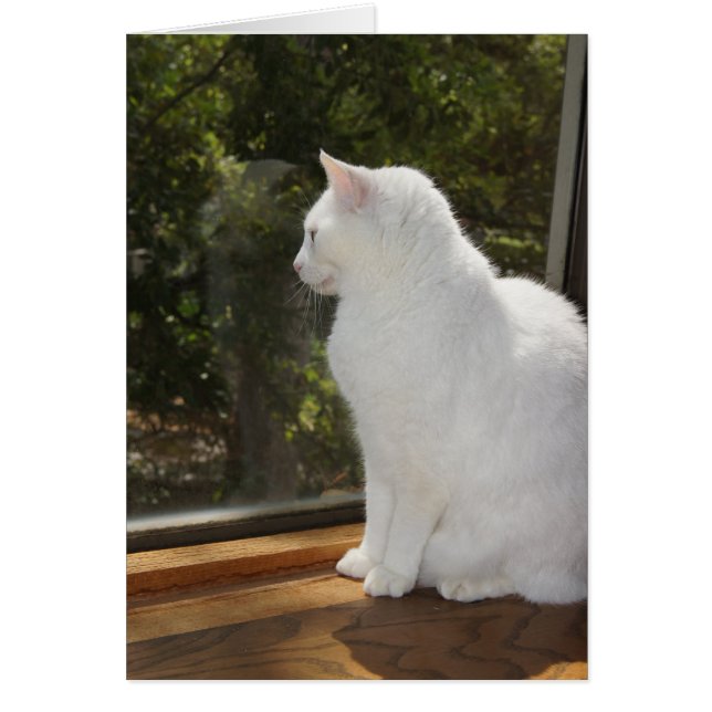 No puede esperar para verle (Frente)