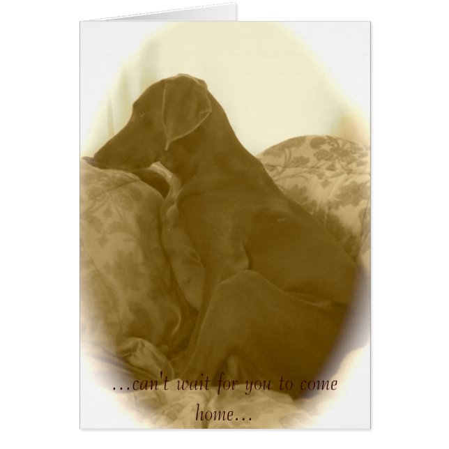 … no puede esperarle para volver a casa… (Frente)