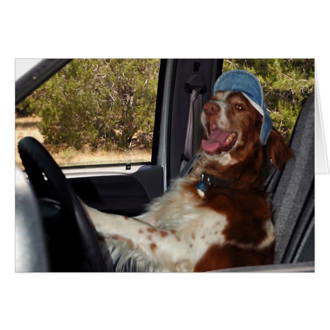 ¡NO PUEDO CONDUCIR 55! (Anverso (Horizontal))