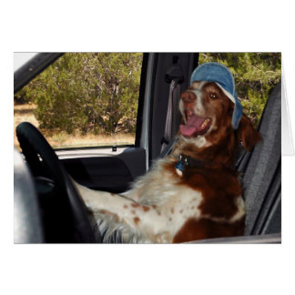 ¡NO PUEDO CONDUCIR 55! -Personalizada