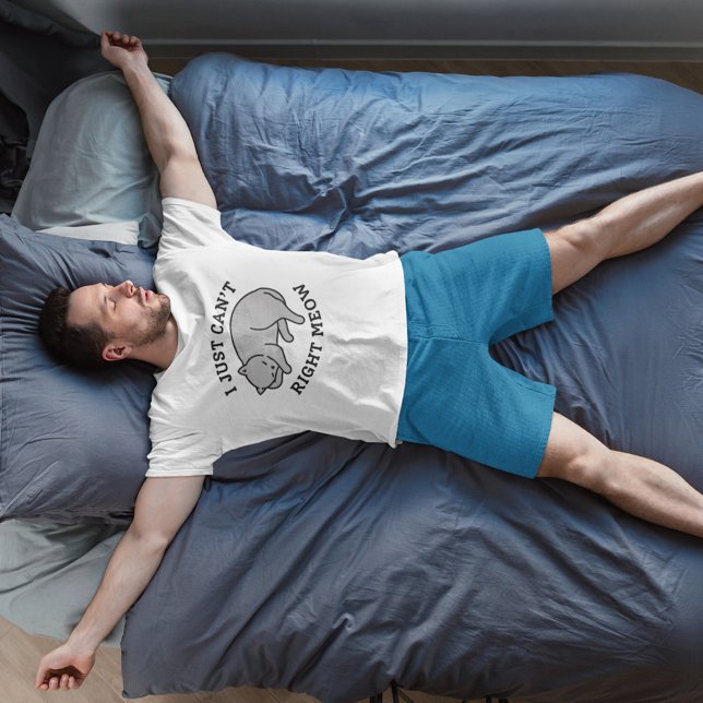 No puedo corregir la camiseta de Meow (Subido por el creador)