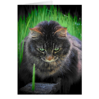 No puedo mirar lejos