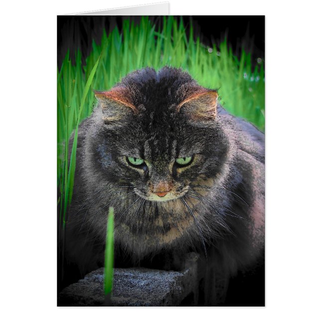 No puedo mirar lejos (Frente)