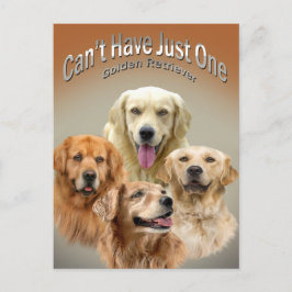 No puedo tener una postal de Golden Retriever