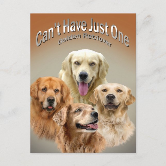 No puedo tener una postal de Golden Retriever (Anverso)