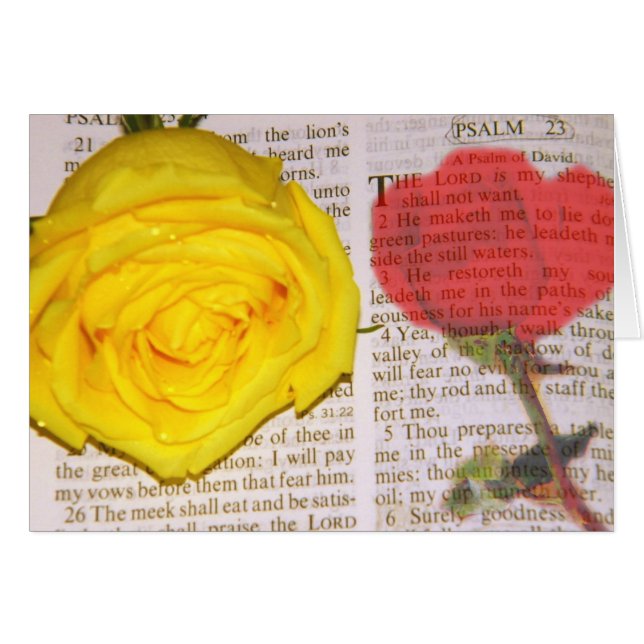 No quiero (Anverso (Horizontal))