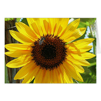 No respires demasiado profundo