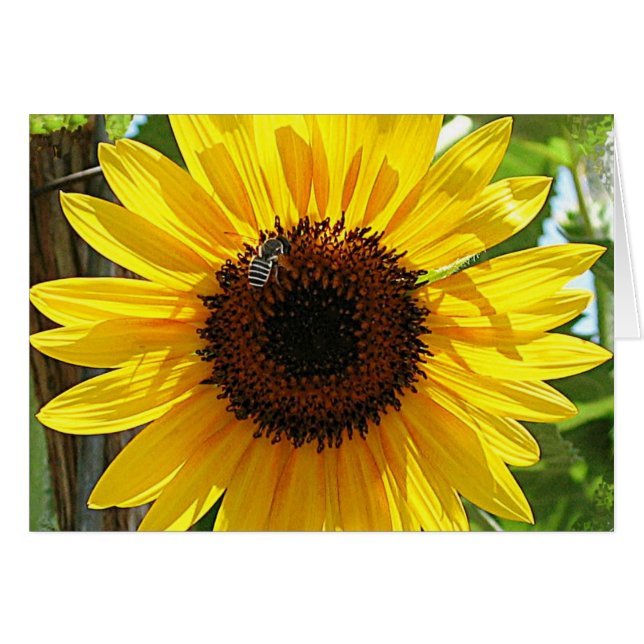 No respires demasiado profundo (Anverso (Horizontal))